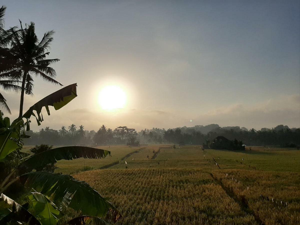 The Satya Villa Ubud Eksteriør bilde